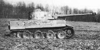 tiger1.jpg, 20 kB