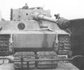 tiger2.jpg, 18 kB